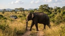 Sri Lanka Highlights – 7 Nights / 8 Days